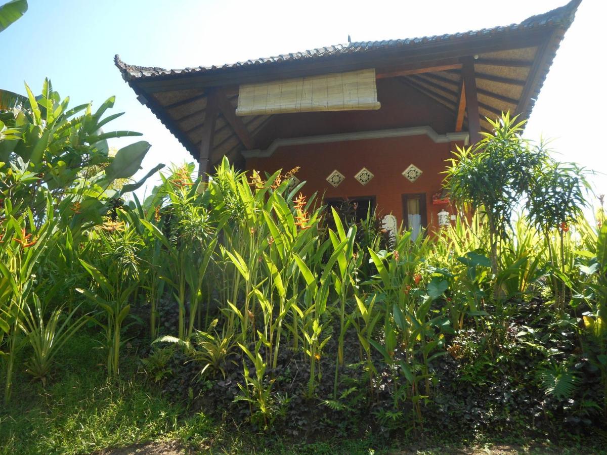 Cegeng Lestari Guesthouse Sidemen  Exterior photo
