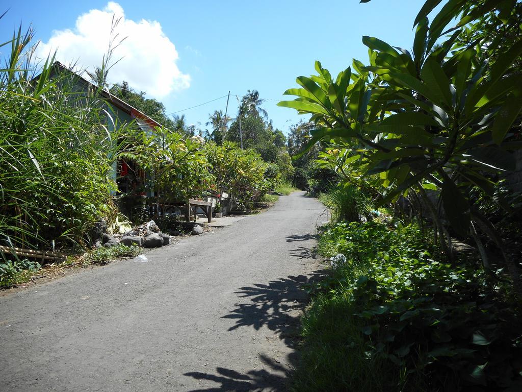 Cegeng Lestari Guesthouse Sidemen  Exterior photo